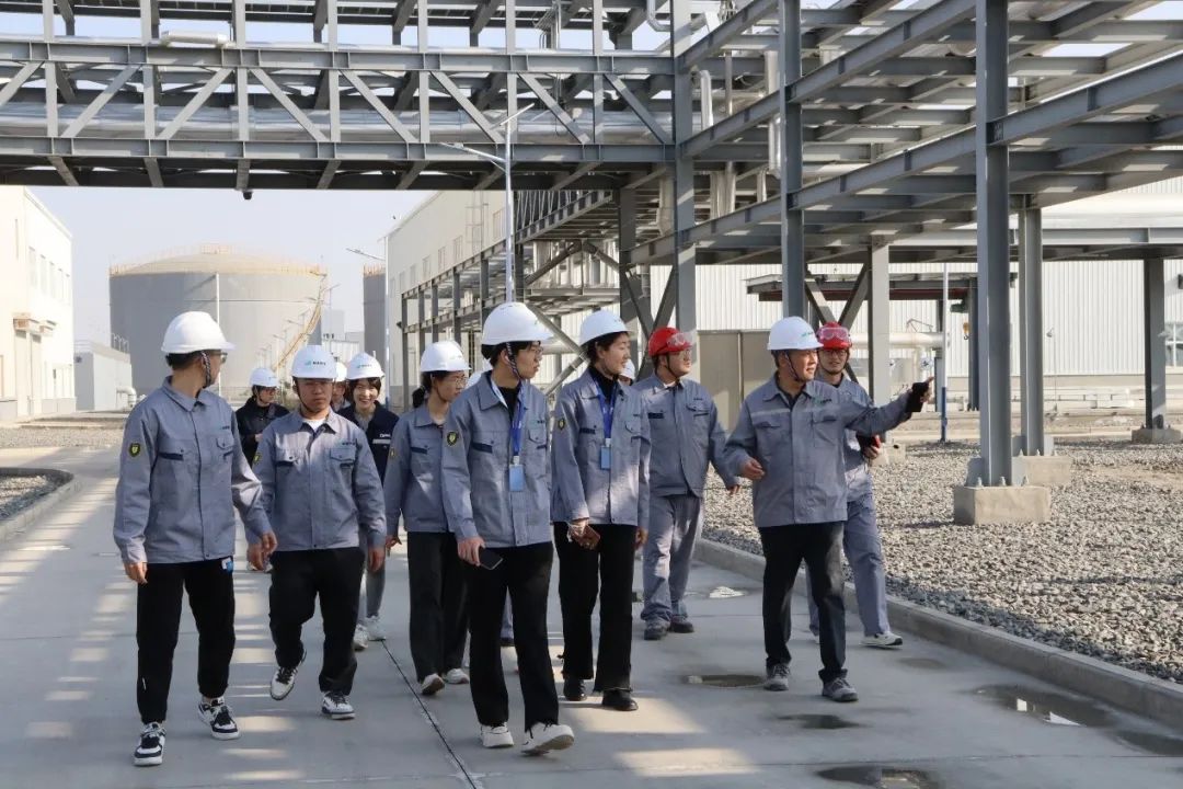 1739415442613087.jpg 微信圖片_20250213105712.jpg